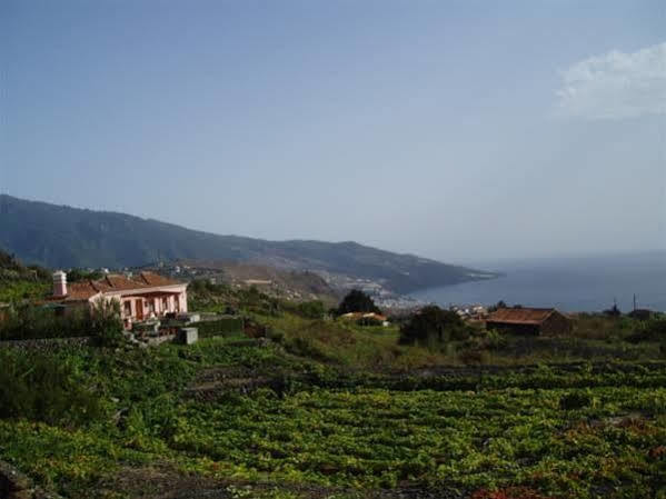 Carlota Villa Brena Baja Ngoại thất bức ảnh